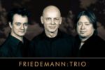 Pressefoto der Band:Friedemann Trio