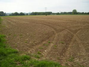 Porth , 2007 &copy; Das Elend der Trockenheit im Fr&uuml;hjahr. Der Acker mit Zuckerr&uuml;ben zeigt Keimausf&auml;lle von 50%. Hier zahlt der Bauer drauf und geht evtl. an seinen Schulden zugrunde. Wieviel Schuld tr&auml;gt die Politik am Ruin der Landwirte?
