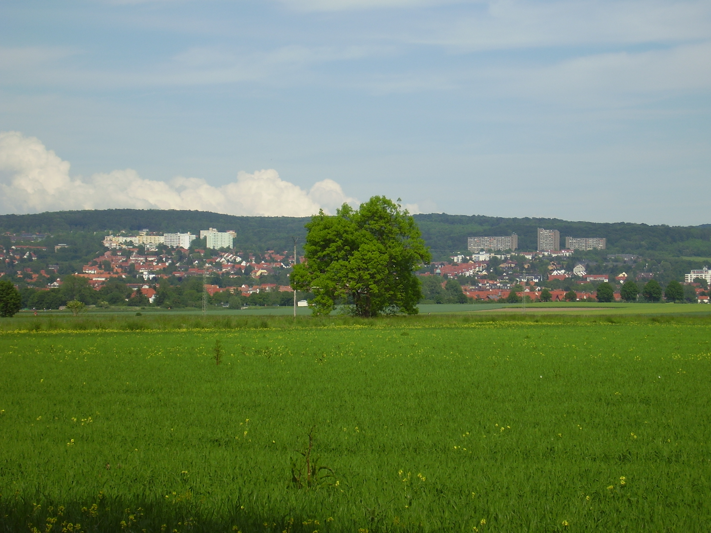 Porth , 2007 &copy; Die Originalaufl&ouml;sung betr&auml;gt 2272 x 1704 Punkte. Damit kann man die Position des Sichtpunktes ungef&auml;hr absch&auml;tzen. Der Volksmund sagt, der Apfel f&auml;llt nicht weit vom Stamm - und deutsche Sch&uuml;ler sind Mathenieten. Welcher Mathelehrer kann heute noch sch&auml;tzen und beherrscht seine Mathematik intuitiv?