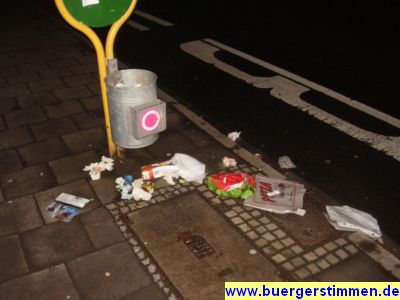 Pressefoto: http://www.buergerstimmen.de/ , 2008 &copy; n&auml;chtliche Idylle im Blitzlicht