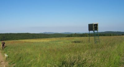 Pressefoto: , 2010 &copy; Festival-Gel&auml;nde.1