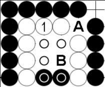 Pressefoto: http://www.buergerstimmen.de/ , 2010 &copy; Die mit einem Kreis markierten Punkte & Steine werden f&uuml;r Wei&szlig; gez&auml;hlt